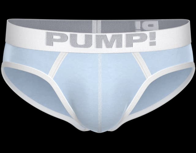 360-Blueberry-brief-(01)